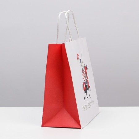 Gift package, packaging, "knight", 22 x 22 x 11 cm-1