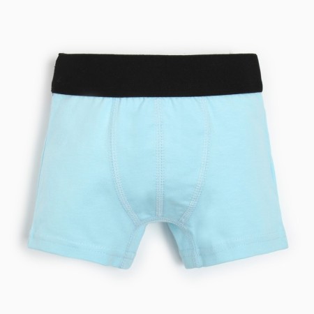 Panties for the boy Minaku boxers are blue, height 104