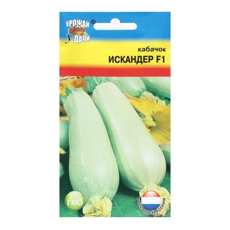 Semen zucchini "Iskander", F1.3 pcs.