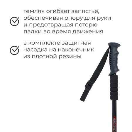 Scandinavian Walking ALYTOP, telescopic, 3-sector, 135 cm, 1 pc.-1