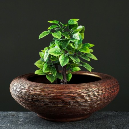 Kashpo "Pad" bronze 1.4 liters-1