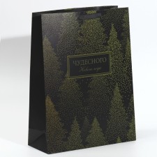 Laminated vertical packet “Wonderful New Year”, l 31 x 40 x 11.5 cm, New Year