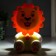 Table lamp 16286/1 15xLED 2W 2 USB MIX 10x11.5x19.5 cm Risalux
