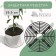 Protective lattice for indoor plants, d = 19.5 cm, plastic