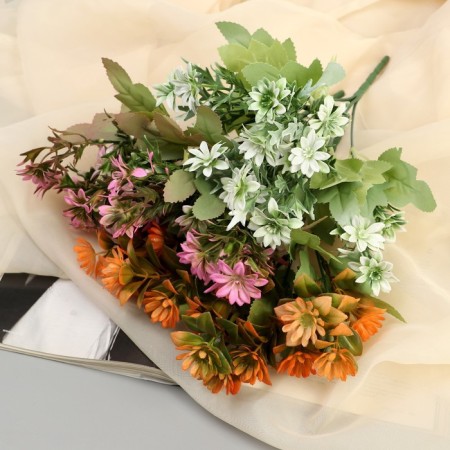 Букет "Граптопеталум" 25 см, микс-2