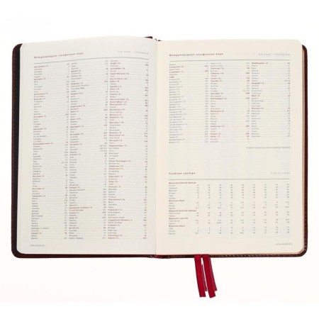 Diary Leduced A5+, 176 Parliament sheets, solid artificial leather cover, green-5