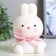 Night "Bunny" LED 1W from 3XAG10 batteries is white-pink 7.4x9.2x12.5 cm Risalux