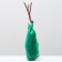 Grape seedling is long -awaited, spring 2024, 1 pc.