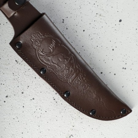 A knife cover, under a blade 17 cm, skin-2