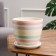 Flower Pot "Ribbon" White Crocus No. 3 2.3 liters