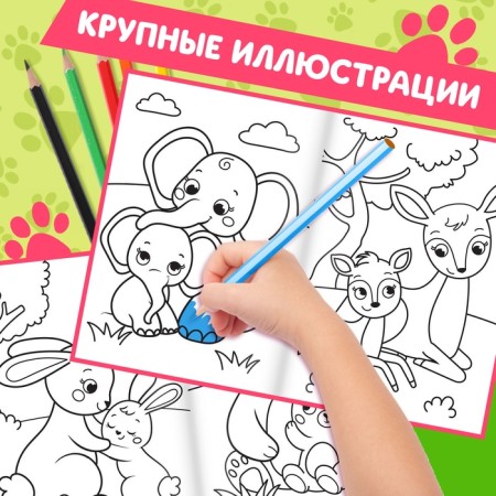 Coloring for babies Set "Animals", with pencils of 6 colors, 2 pcs. 16 p.-2