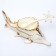 Caviar with a spoon Balsford Home Art