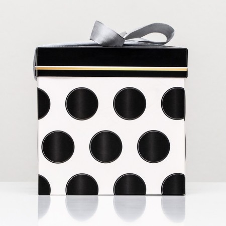Self -charging box "Glorin" 15x15x15 cm-1