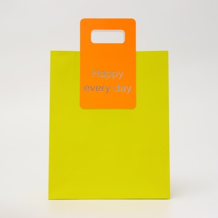 Gift package with a cut handle 26 x 32 x 10 cm, lime-1