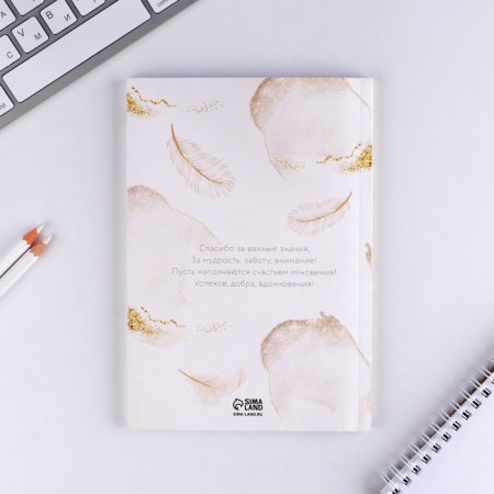 Golden teacher gift set: A5 diary, 80 sheets, stickers and ballpoint pen, blue pasta-7