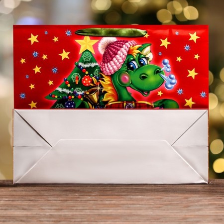 Laminated horizontal "Guest" package, 49 x 40 x 19 cm-1