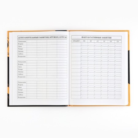 School diary 5-11 grade, in a solid cover, 48 liters. Football-4