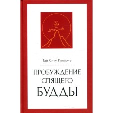 Пробуждение спящего будды. Ринпоче Т.С.