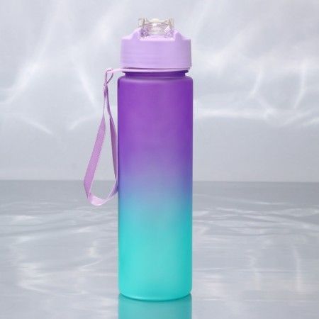 Water bottle "You can do everything", 700 ml-2
