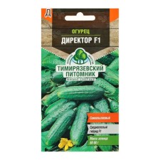Cucumber seeds 