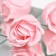 Soap roses, pink, set of 10 pcs.