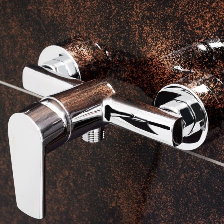 Shower mixer Wasserkraft dill 6102, single -leaf, without spout, chrome-3
