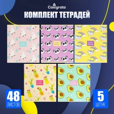 A set of notebooks of 5 pieces, 48 ​​sheets in the Calligrata Pattern cell, covered cardboard, block No. 2, whitewash 75% (gray sheets)