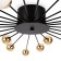 Freya FR5242CL-24B Celebrity, 1168x1168x103 mm ceiling lamp, G4, 24x3W, black color