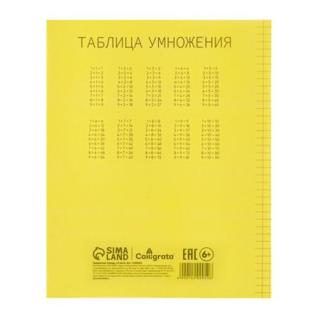 Notebook 24 sheets in Calligrata "Yellow", a plastic cover, with a multiplication table, an offset unit-5