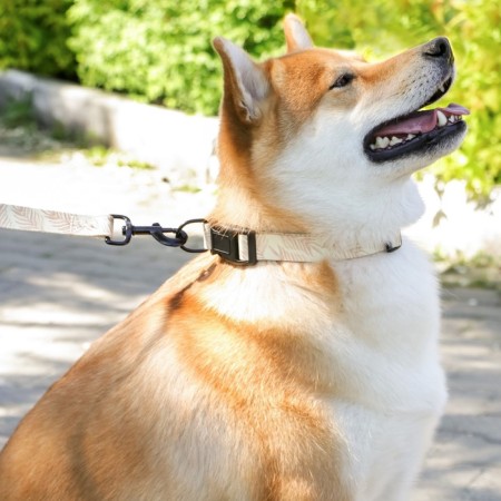 Collar of Paradise Life, fastener - Fastx, 2.5 cm, 40-55 cm-8