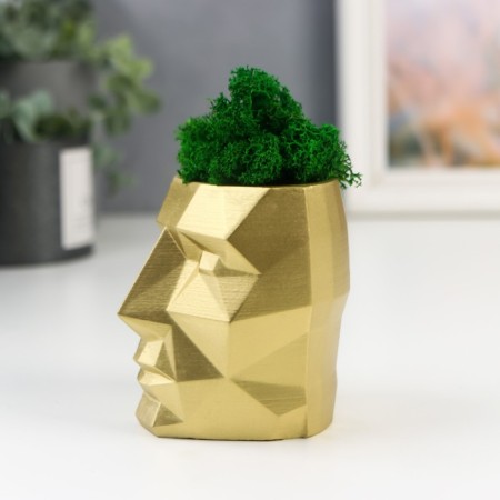 Kashpo concrete "head" with moss height 8.5 cm gold (moss green stabilized)-2