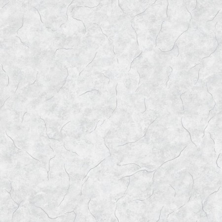 Paper wallpaper "Vlad von-l" C14F-761F-06, 0.53x10.05m-4