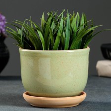 Flower pot 
