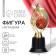 Figure Award Star for graduation "graduate", height 18.3 cm