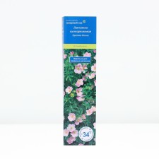 Bunch of shrub 