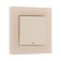 Tot Matte Glass switch, 10 a, 1 cl., With backlight, hidden, glass, beige