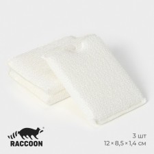 A set of scrubs of microfibers for deep cleaning Raccoon, 3 pcs, 12 × 8.5 × 1.4 cm, white color