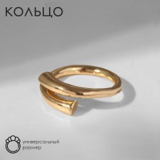 The ring 