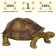 Figure "World of Wild Animals: Turtle"