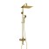 The shower system wasserkraft a171.261.207.pg, tropical shower, shower, black