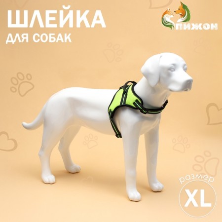 Cloll improved K7 soft reflective, size XL, OG 74-92 cm, weight 28-47.5 kg, green