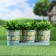 Kashpo Set on the Bucket stand Lemons, 29x10x10cm