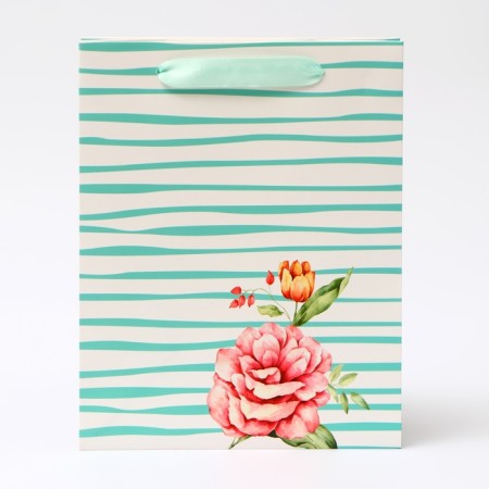 Laminated "Strips" package, MS 18 × 23 × 10 cm-1