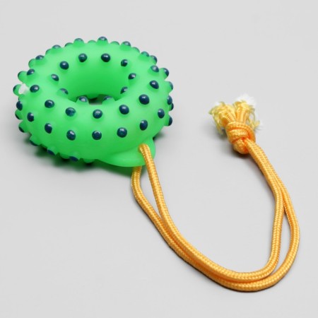 Toy squeezing "Ring on a rope" for dogs, 10 cm, green-2