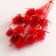 A set of dried flowers "Brush", a ban 7-8 pcs, length 50 (+/- 6 cm), red