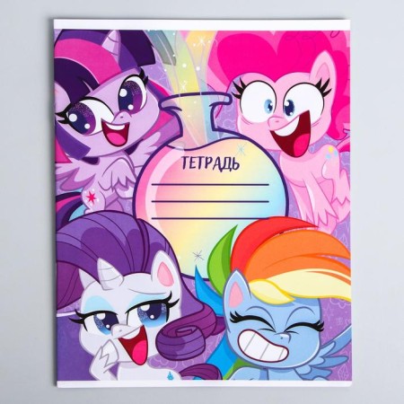 Notebook in a cage 12 sheets, 5 types of mix, cover coated cardboard, my little pony-8