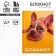Notepad in solid cover A7, 64 liters "Dog"