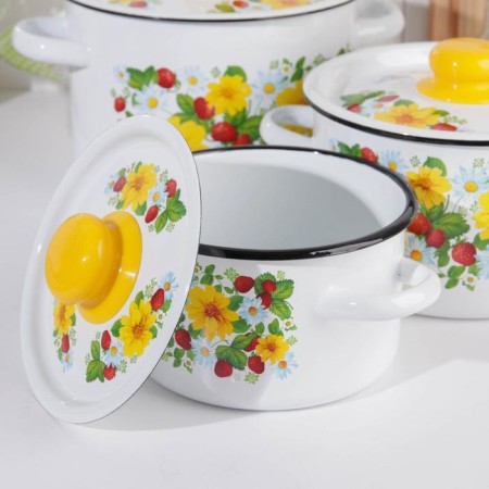 Set of pots "strawberries", 3 subjects: 1.5 l, 2.9 l, 4.5 l, enameled covers, induction-1