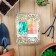 Seed peas "Alfa", 500 g