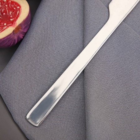 Knife table shares "New Gastro", length 20 cm, thickness 2 mm, silver color-2